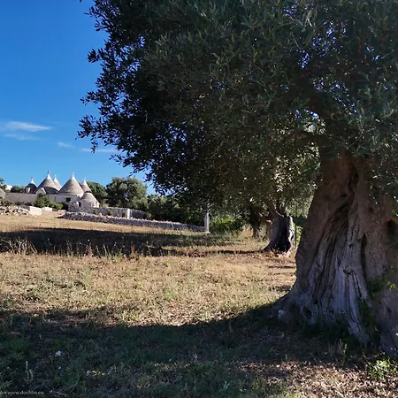 Trullo Mela Comfort, 6 People, 10 Minutes Alberobello